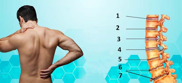 osteokondrosiaren garapenaren faseak